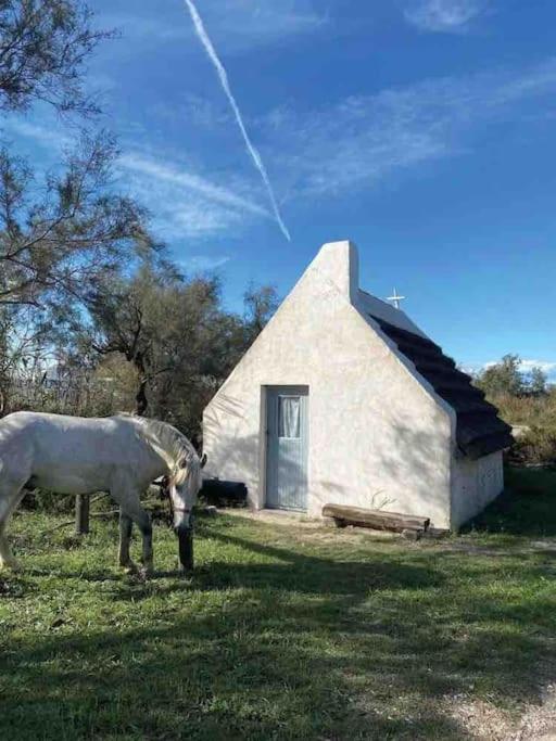 Villa 8 Personnes Bord De Climatisee