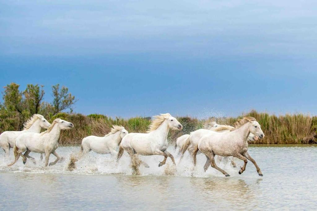 8 Personnes Bord De Climatisee Saintes-Maries-de-la-Mer